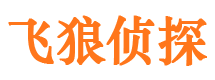 湖滨寻人公司